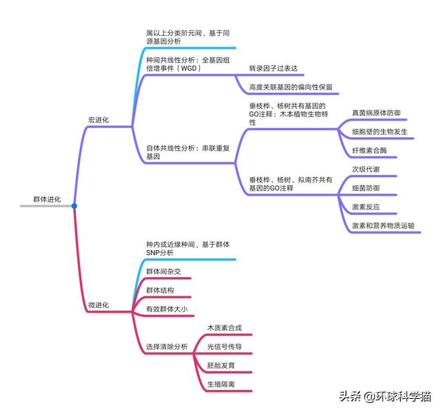 已经灭绝了的颜色，十大被认为已灭绝却又重新出现的动物是什么