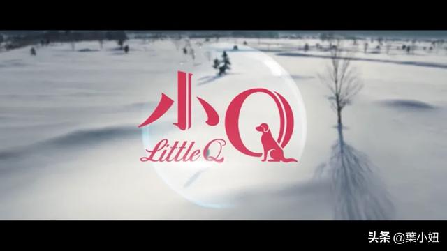 导盲犬小q观后感600:看完电影《小Q》，你有什么感受？