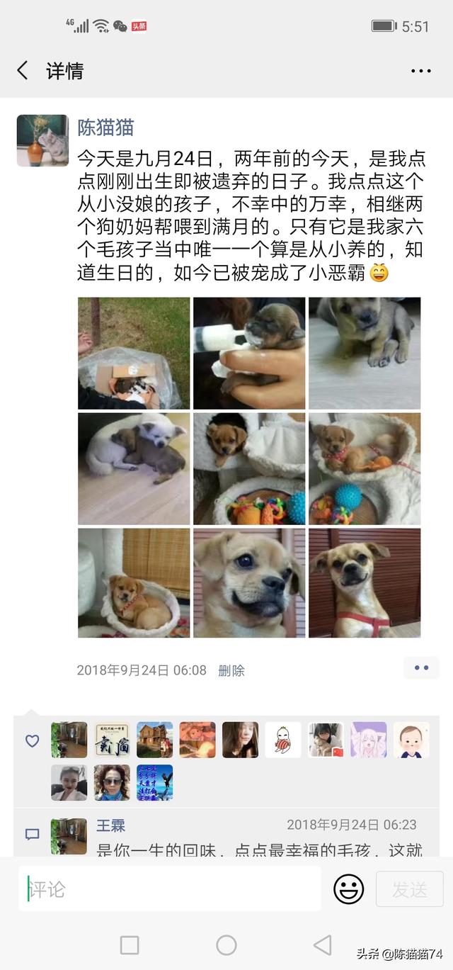 我家狐狸狗txt下载:大家的宠物都叫什么？名字的背后有没有特殊的含义或经历？