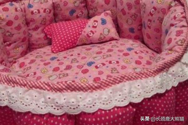 卡尔特猫的猫窝里面很臭:养猫家庭如何减少猫的异味？ 卡尔特猫是短鼻猫吗