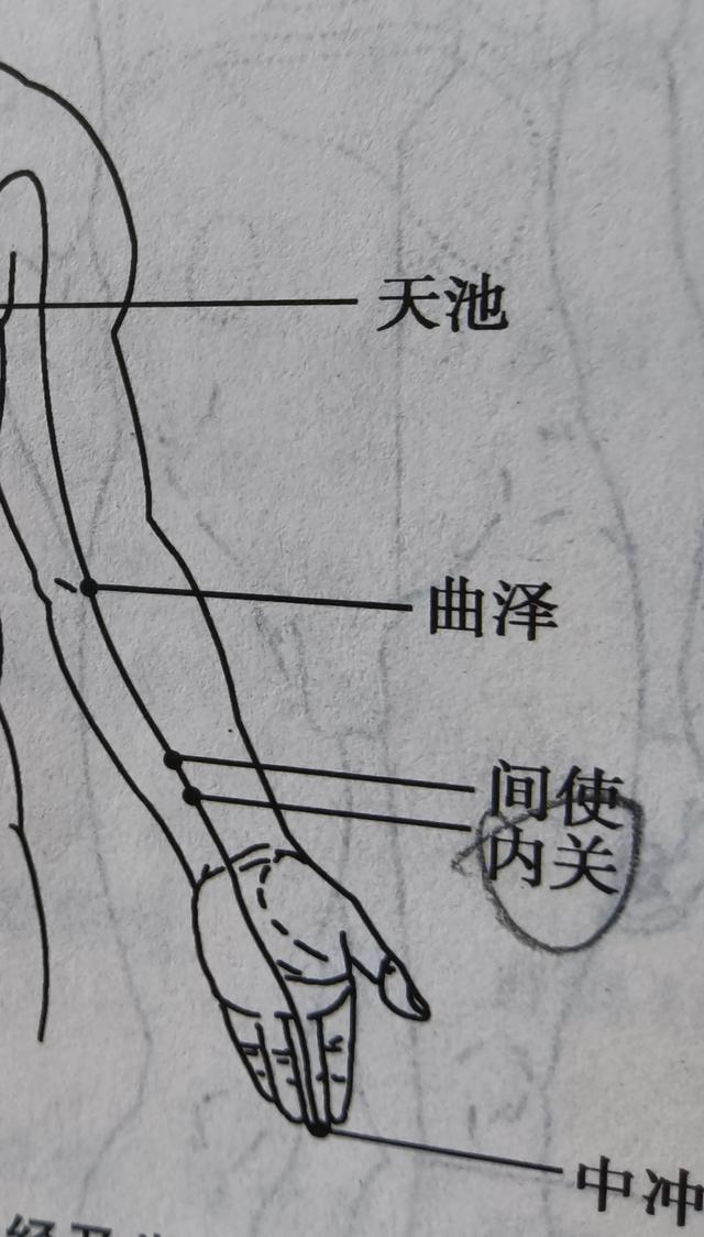 五指如何对应五脏？