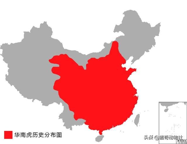 如何判断一个物种是否灭绝？