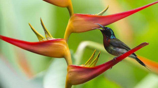 鬼最怕的七种星座,十二个星座最害怕的分别是哪个星座？