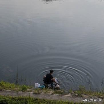 家养大鹅的祖先:如何看待洛阳乡村教师把大鹅带进教室，给孩子们上课