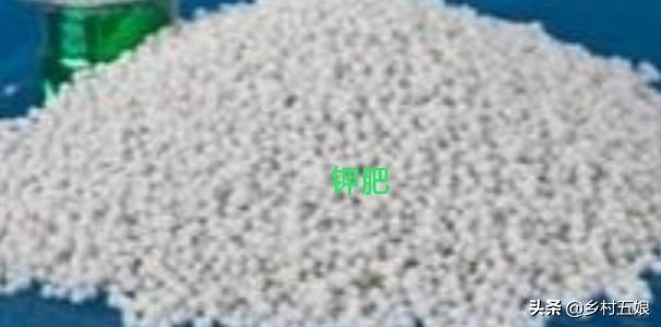 植物的营养元素:花卉市场花盆里是什么土？有哪些利于植物生长的元素？
