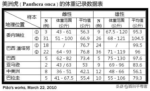 虎獒:雄性美洲豹能否打赢雌性老虎和狮子？