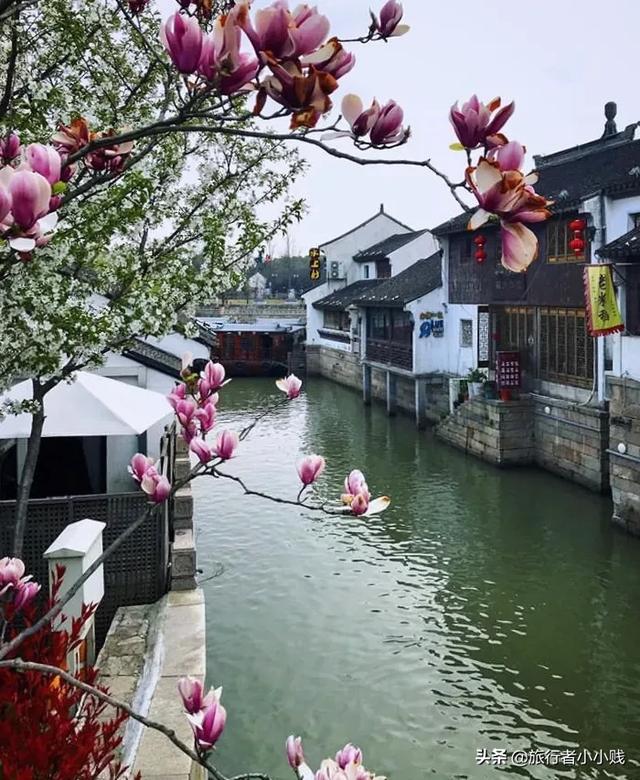 羽扇丝巾打一生肖:哪里最适合一个人去旅行而且还便宜最多说出5个，尽量详细一点