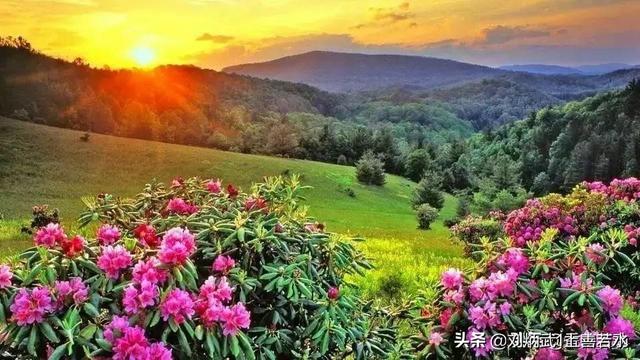 等闲识得东风面下一句是什么,为什么说“万紫千红总是春”？