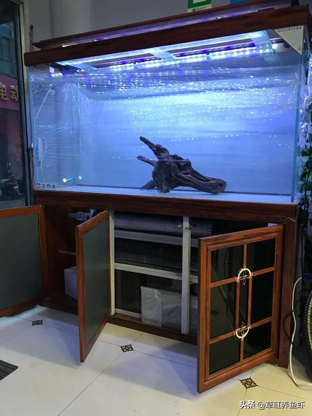 底滤鱼缸水浑浊原因和解决方案:下滤鱼缸水流声音过大，如何解决？