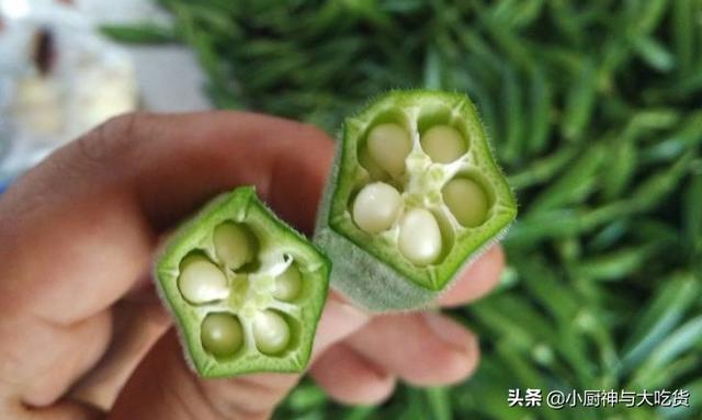 鮣鱼不能和什么一起吃:鱼肉千万不能和什么食物一起吃？