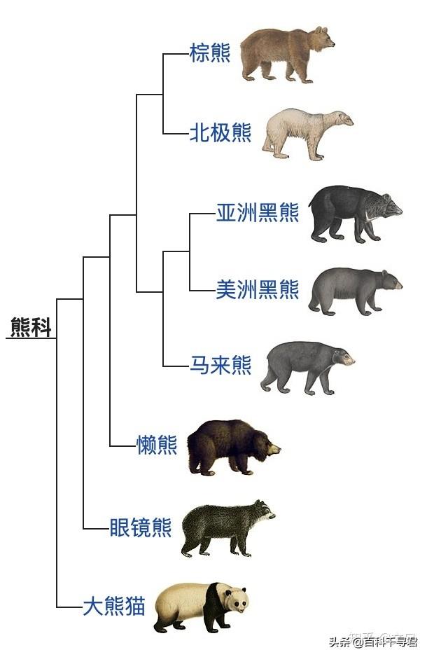 头条问答 如果肉食动物和草食动物可以杂交 会生出杂食动物吗 百科千寻君的回答 0赞