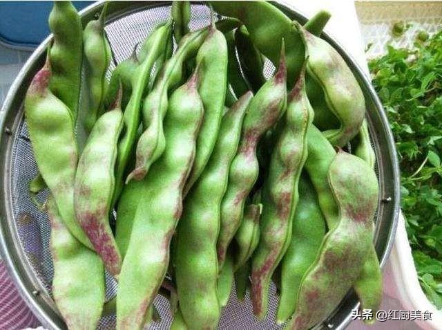 油豆角和那种四季豆豆角哪个吃起来更好？