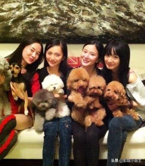 犬姊妹:曾经的泰迪姐妹团渐渐疏远，当年她们是一个怎样的存在？