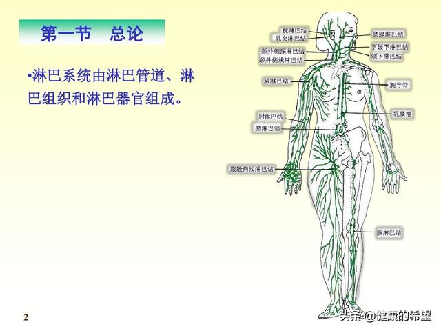 人体百科问答:人体内的“气”是怎么生成的？