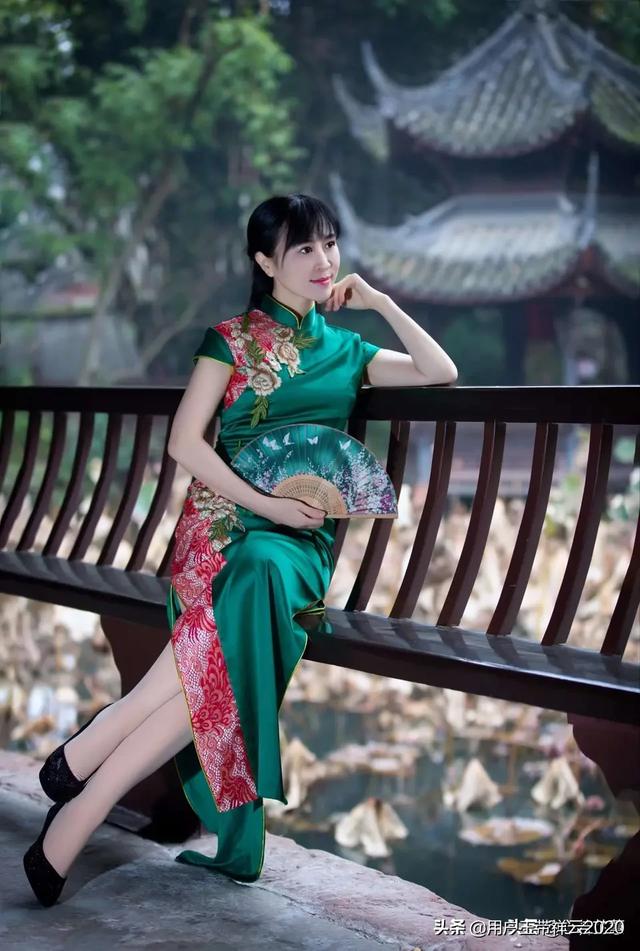 鲁豫的老公:向华强为何会对陈岚“情有独钟”