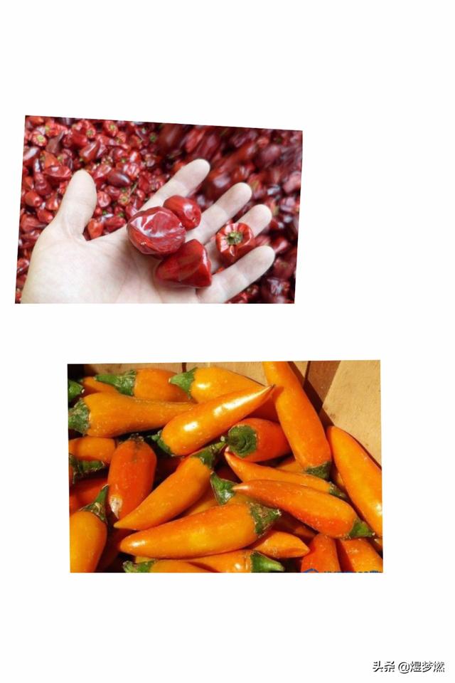 卡罗莱纳死神:中国最辣的辣椒，前10名的依次排名是啥