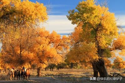 2021年国庆节去哪里旅行比较好？
