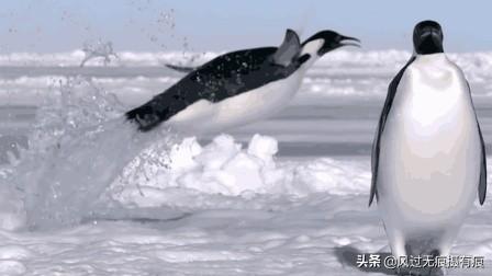 厉归真擅长画什么:人在什么时候会爆发潜力？