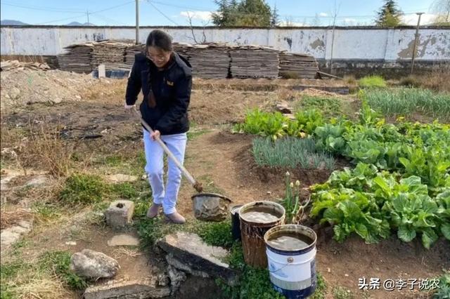 大冶市宠物兔养殖场地址诚信经营:马云说“致富未来在农村”, 那么农村未来的致富人群是哪类人？