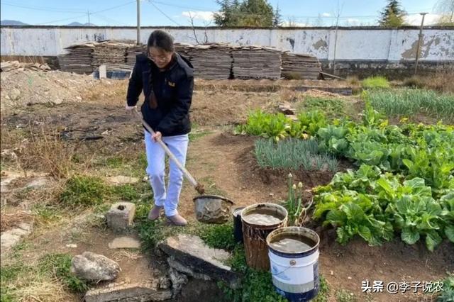 预言天下大乱暴羊出，马云说“致富未来在农村”, 那么农村未来的致富人群是哪类人