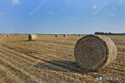 在农村卖什么能赚钱，在农村除了打零赚钱，还有哪些无本生意可做，可以发家致富啊