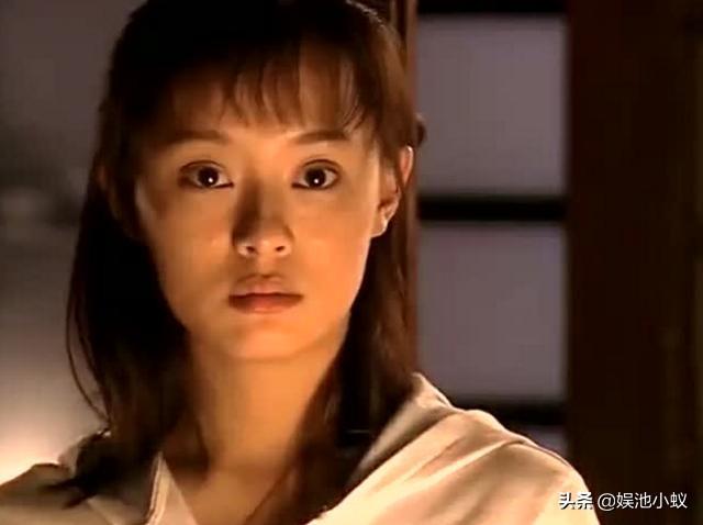 孙俪演的电视剧:你认为孙俪出演最成功的电视剧是哪部？