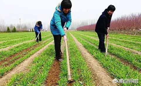 农民工没有退休金，他们老了之后怎么办？
