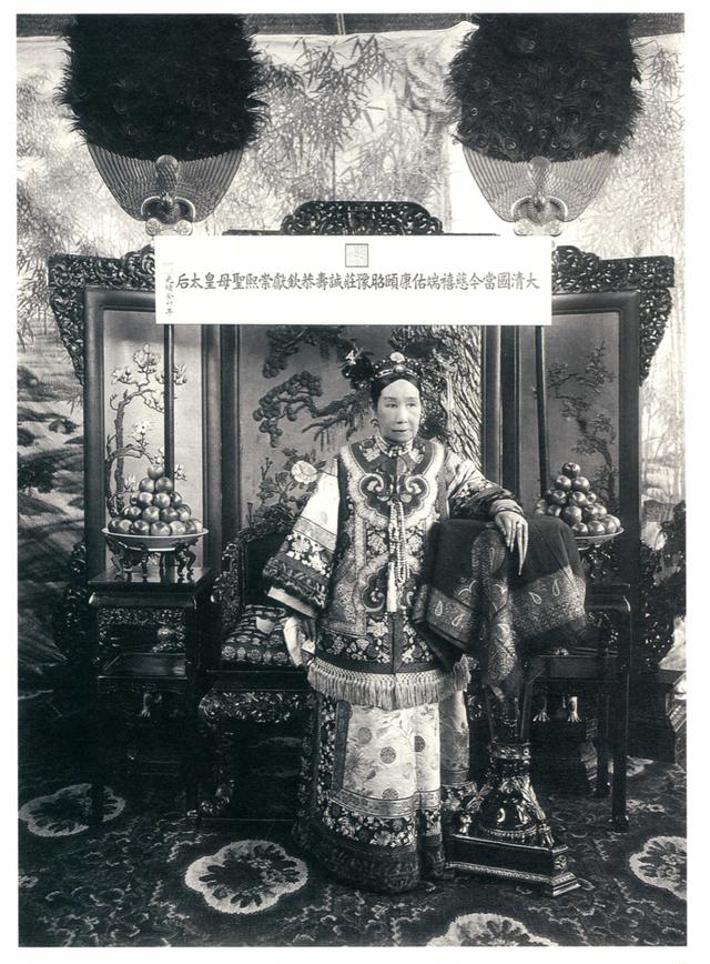 白鹇图片:野生的白鹇和养殖的有什么区别？