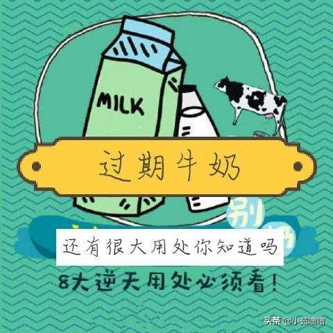 过期牛奶的11个妙用:坏了的牛奶有什么用途？怎么才不会浪费？