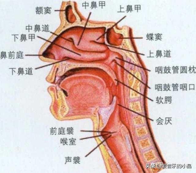 东方不败蒙面歌王:笑傲江湖之东方不败所有插曲