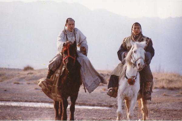 西夏的开国君主李元昊是怎么死的？李元昊之死给了后人什么警示？插图128