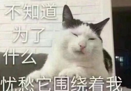 东莞波斯猫论坛:你有什么被借钱的奇葩经历？