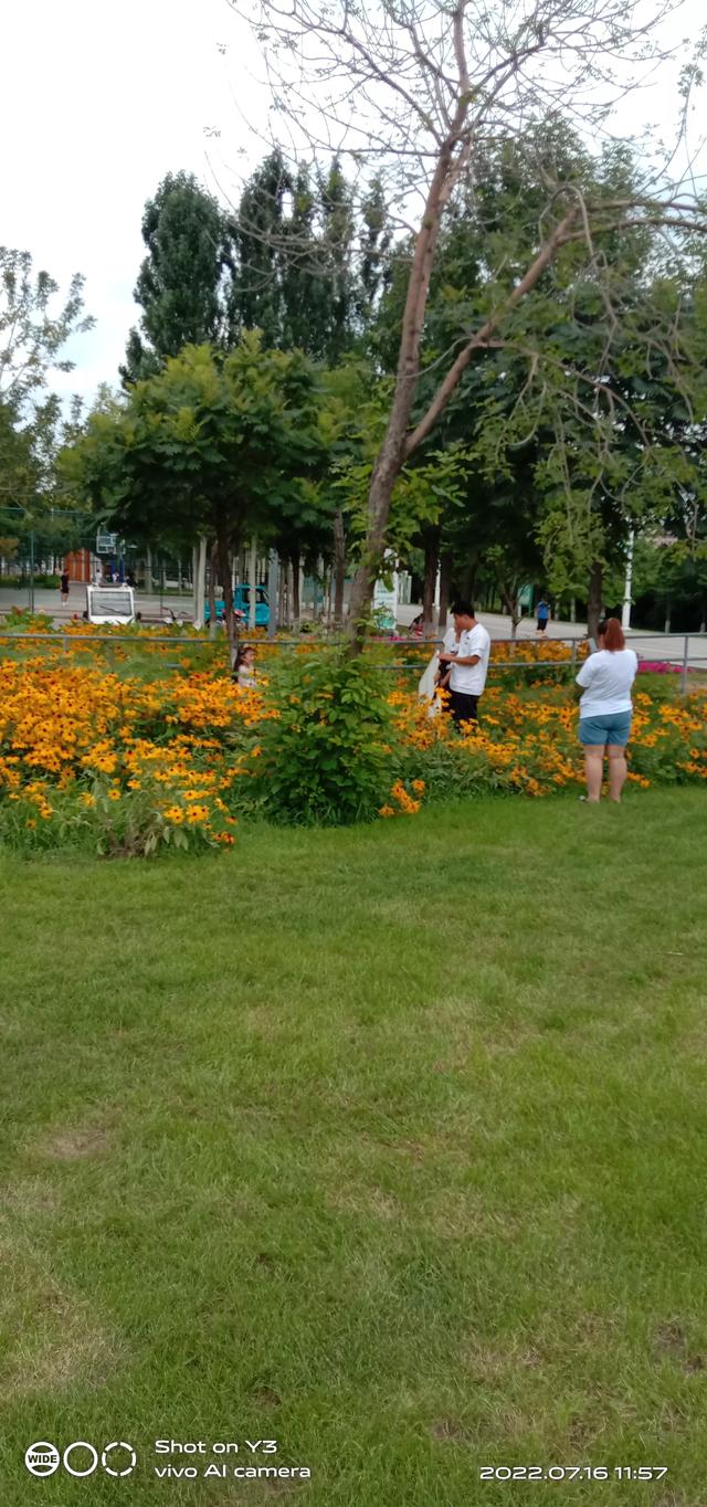 头条问答 俗话说 门前亮灯旺人丁 后堂无光家不兴 这是什么意思 有道理吗 31个回答