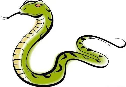 中国最吓人的一条巨蛇，巨蟒的绞杀力到底有多恐怖普通人遭遇巨蟒该怎么办