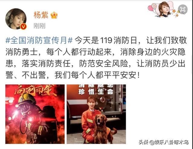 周冬雨成绩:周冬雨成绩那么差还能在娱乐圈发展的那么好，究竟凭什么？
