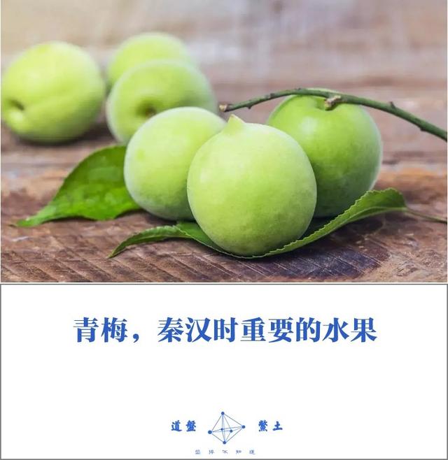 秦始皇时代的人们都吃些什么？主食蔬菜是如何烹饪的？插图29