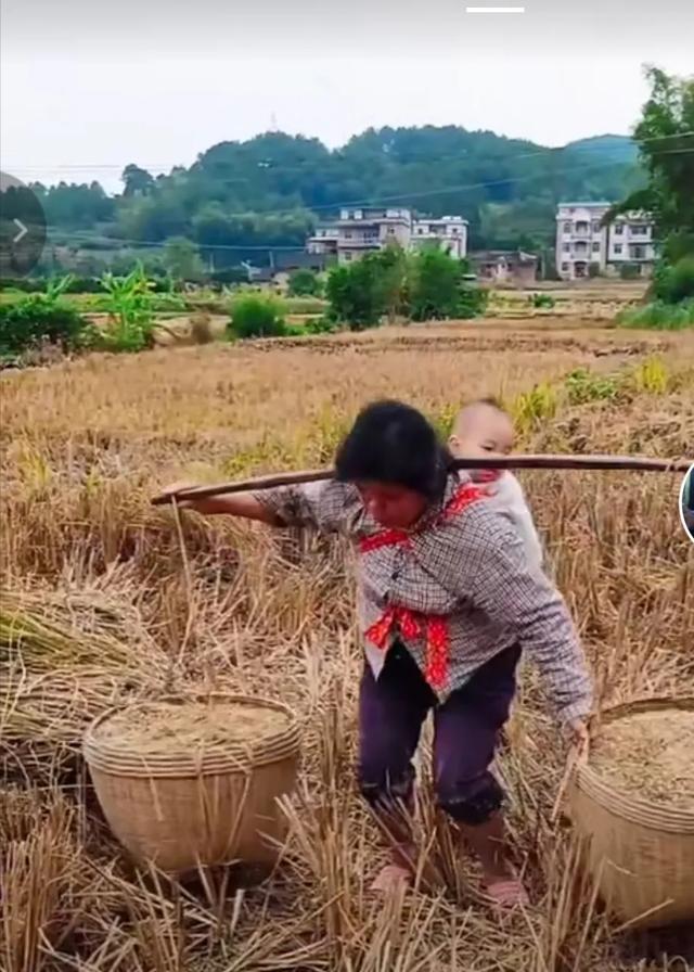 为什么感觉现在的农村妇女都不愿意种地? -惠修网