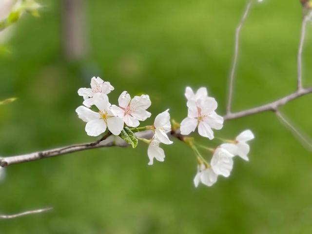 人到中年后才发现，早点生孩子和晚点生孩子差别很大，你怎么看？插图2