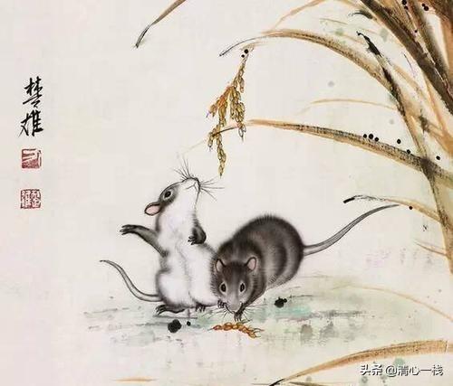 总是杞人忧天的生肖有哪几个？