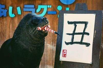 湖南 水生动物:长沙称这种鱼叫