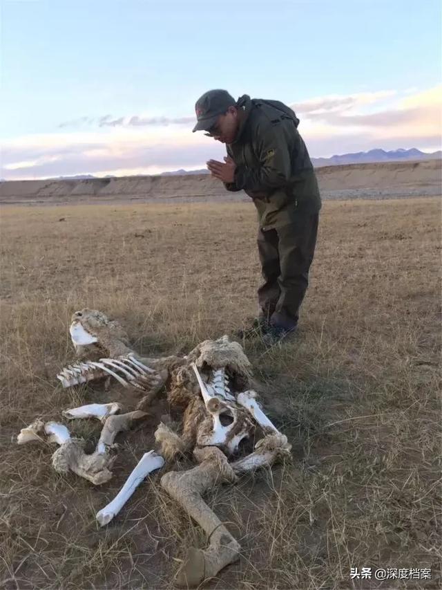 昆仑死亡谷:昆仑山死亡谷为什么被列为禁地？传说中的昆仑巨兽是什么生物？