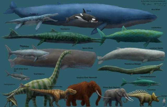 普鲁斯鳄:为什么很多史前生物要比现在生物大？