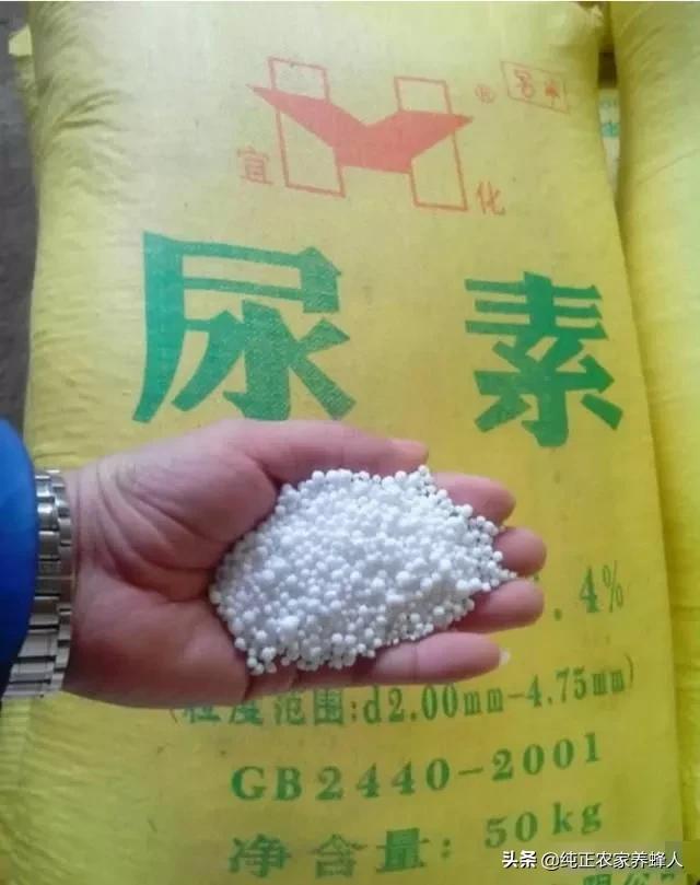 在河南承包100亩地做点什么最好？