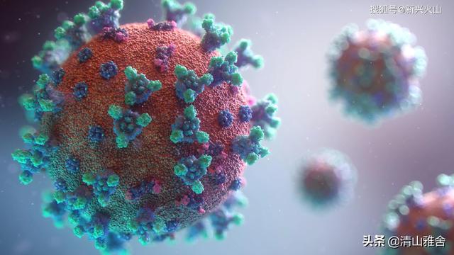 《科学》文章：新冠病毒溯源应重视冷链传播可能性，从非典到新冠，怎么突然就爆发了疫情，大家怎么看