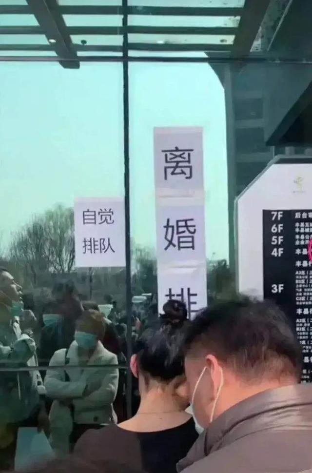 深圳朗生狗粮:排队离婚反映了什么问题？