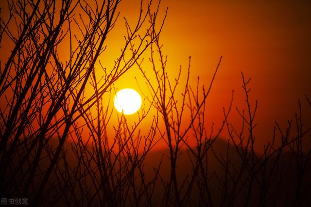 中国什么时候开始过元旦,元旦是全世界的节日吗？还是只是中国的？