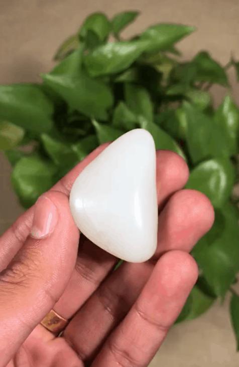 晒晒你的文玩宝贝。都是怎么保养的？插图13