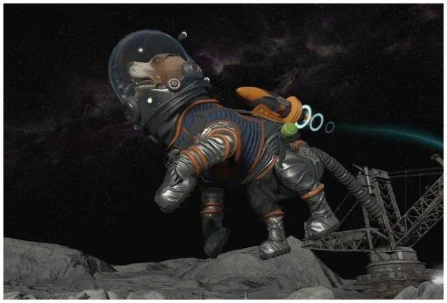 莱卡犬打猎视频:第一只进入太空的狗，在宇宙飘了63年，人类为什么要毒死它？