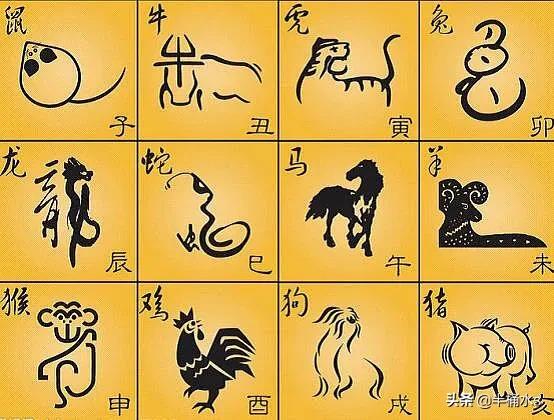 无知熊猫漫画饭桌就是战场阅读:李盈莹为什么对阵强队发挥都不佳？