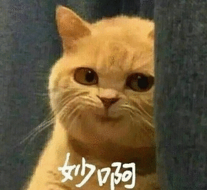 有没有在家就可以月入三千的副业？